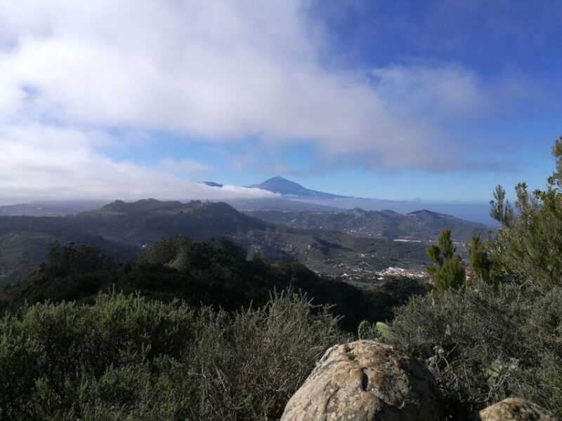 Santa Cruz de Tenerife: 2-Hour Hiking Tour in Anaga Forest - Discover the Charm of Santa Cruz de Tenerifes Anaga Forest in Just 2 Hours