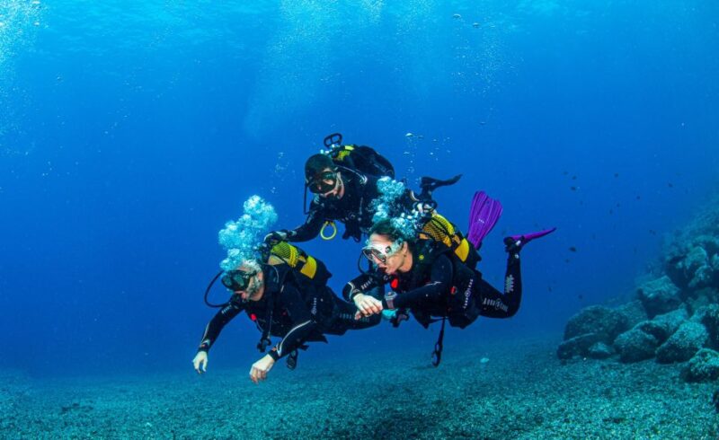 Santa Cruz de Tenerife: Advanced introductory course - Expert-Guided Experience with Friendly Instruction