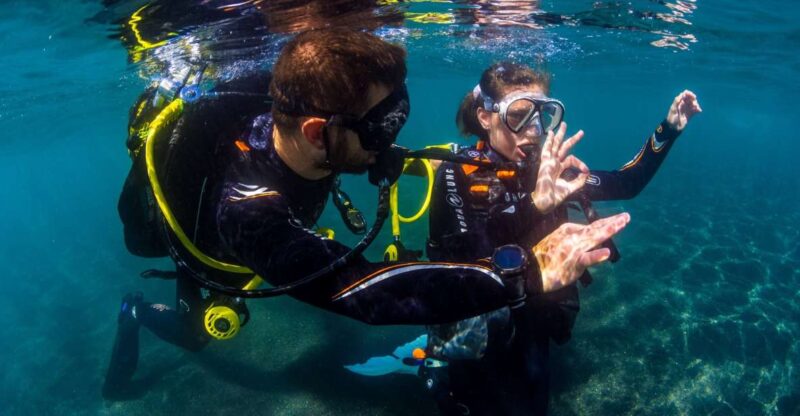 Santa Cruz de Tenerife: Beginner's Diving & Introduction - The Underwater Experience at 6 Meters Depth