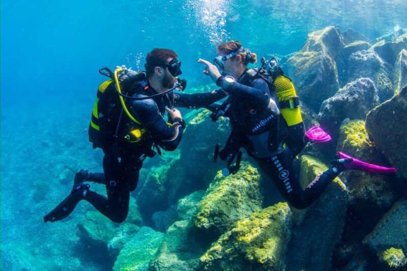 Santa Cruz de Tenerife: Beginner's Diving & Introduction - Group Size and Personal Attention