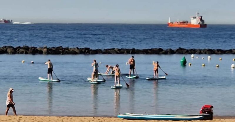 Santa Cruz de Tenerife: Las Teresitas Stand Up Paddle Course - Santa Cruz de Tenerife: Las Teresitas Stand Up Paddle Course – An Accessible Water Adventure in the Canary Islands