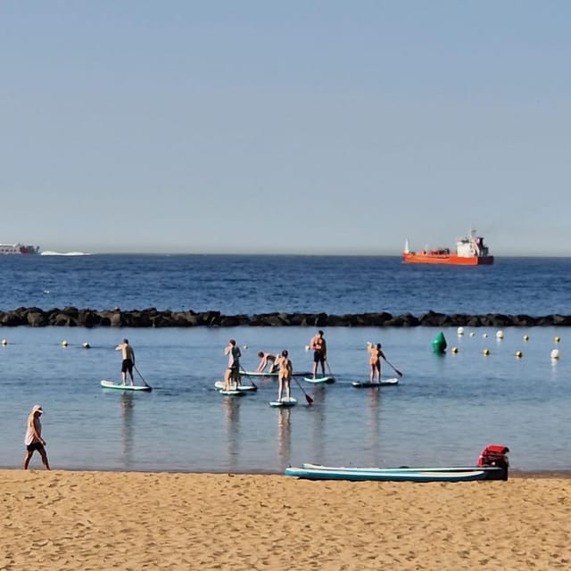Santa Cruz de Tenerife: Las Teresitas Stand Up Paddle Course - Key Points