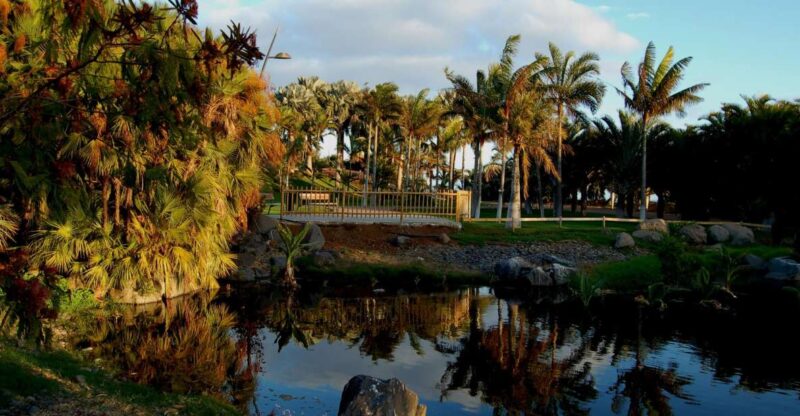 Santa Cruz de Tenerife Palmetum Entry Ticket - Key Points