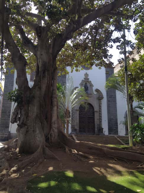 Santa Cruz de Tenerife: Prestigious Places Walk - Key Points