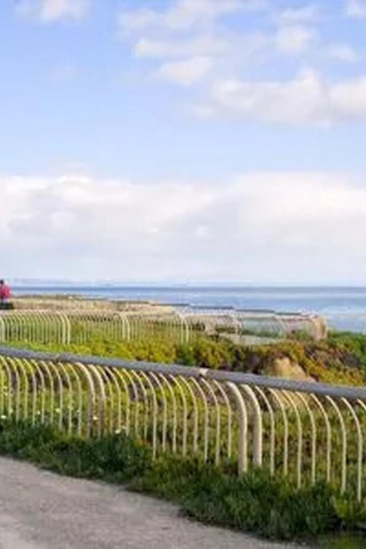 Santa Cruz: Guided eBike Tour - Discover Santa Cruz on a Guided eBike Tour for $120