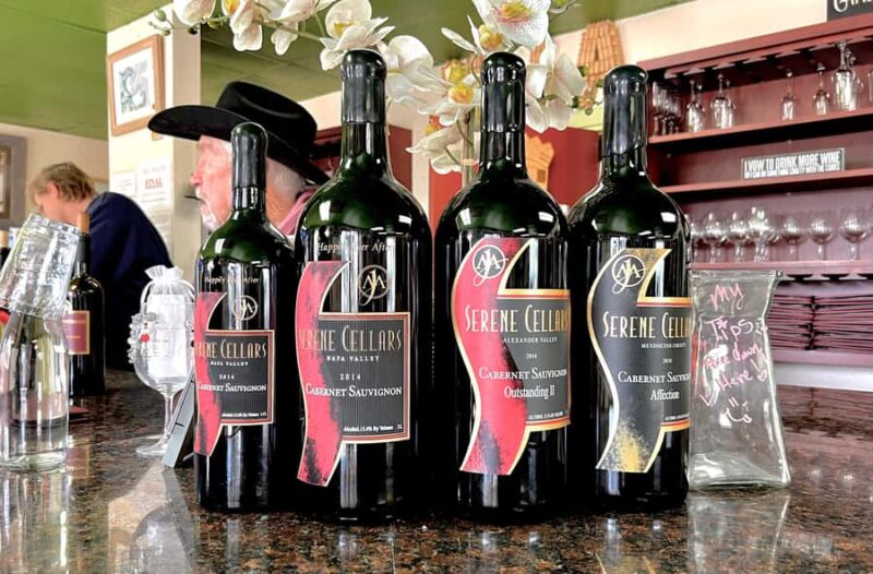 Santa Cruz: Wine Tasting Experience - Key Points