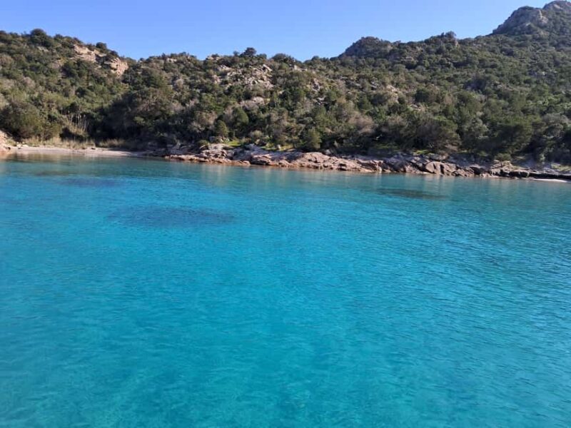 Santa-Giulia: Half-day trip to the Lavezzi Islands - What Makes This Tour Stand Out?