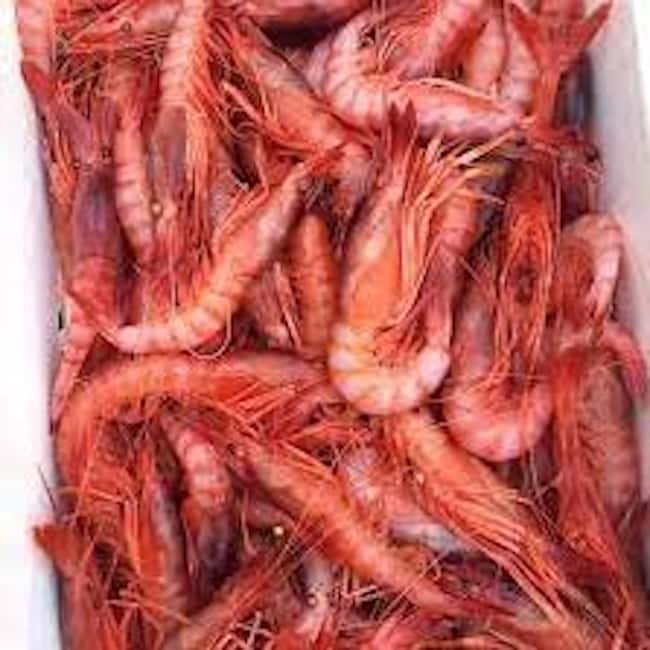 Santa Margherita: Food Tour, flavors of the Ligurian Riviera - Final Thoughts on the Ligurian Food Experience