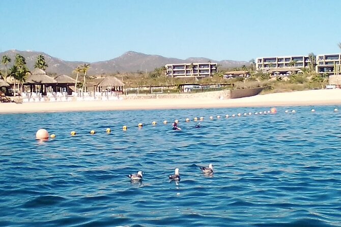 Santa Maria and Chileno Bay Snorkel Adventure Los Cabos - Key Points