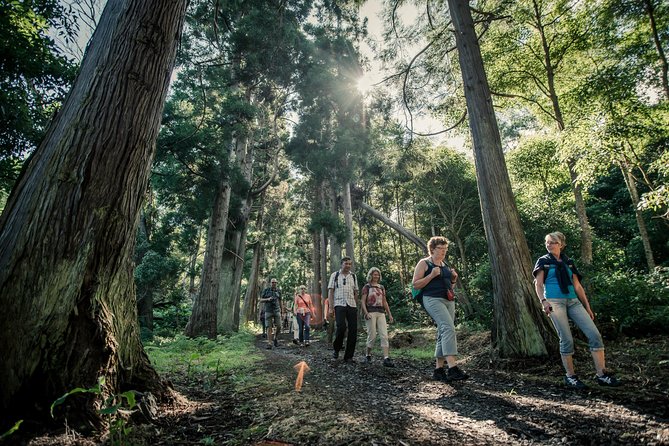 Santa Maria - Walking Tour Guide - Flexibility and Booking Conditions