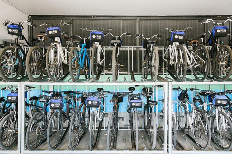 Santa Monica: Full Day Bike Rental - Customer Experiences and Praised Aspects