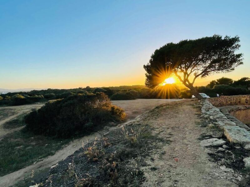 Santa Ponca: CoupleWalk, fun game and city walk for couples - Practical Details and Group Size