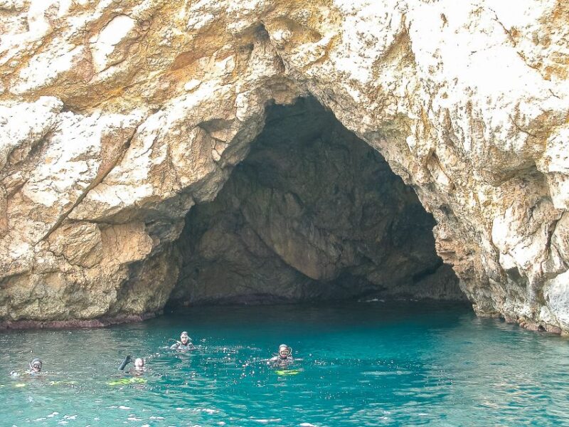 Santa Ponsa: Snorkeling Tour in a Marine Reserve - Key Points