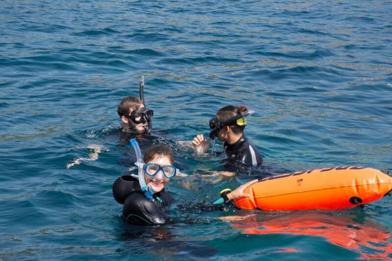 Santa Ponsa: Snorkeling Tour in a Marine Reserve - Physical Requirements and Suitability