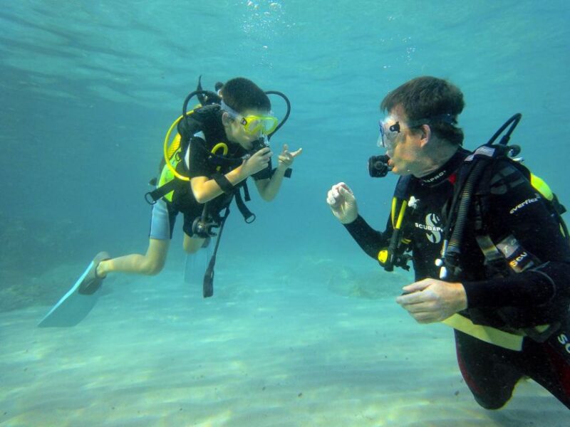 Santa Ponsa: Try Scuba Diving in a Marine Reserve - The Safety and Instructional Approach