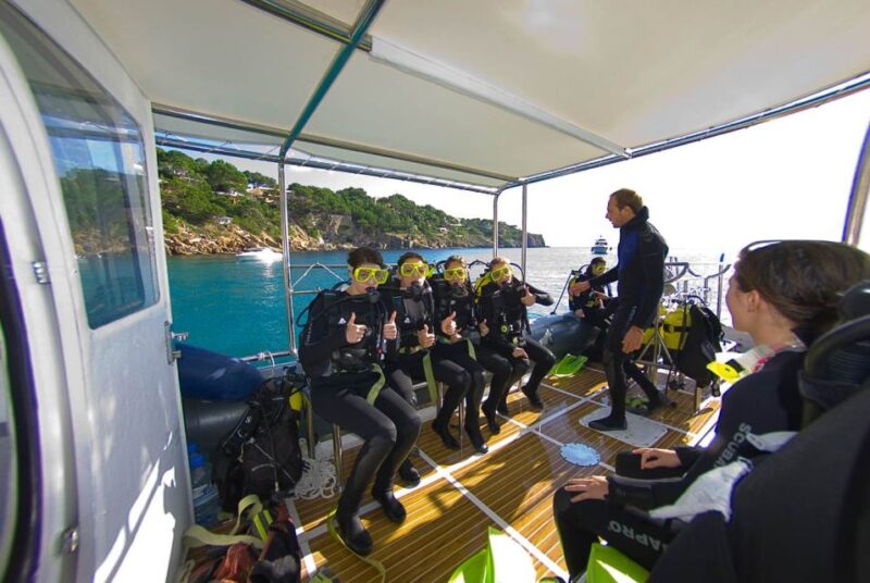 Santa Ponsa: Try Scuba Diving in a Marine Reserve - Tour Logistics and Group Sizes