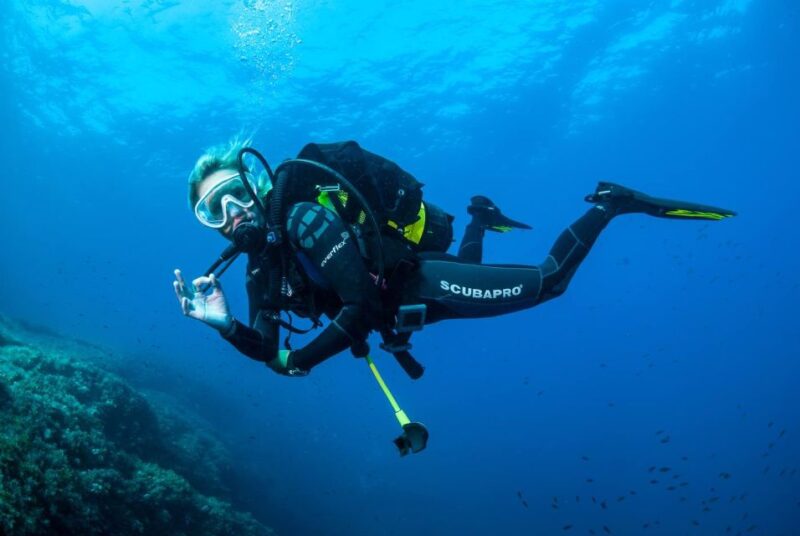 Santa Ponsa: Try Scuba Diving in a Marine Reserve - Pricing and Value for Money