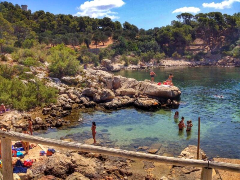 Santa Ponta/Peguera: Dragonera Island Cruise with Swim Stop - Key Points