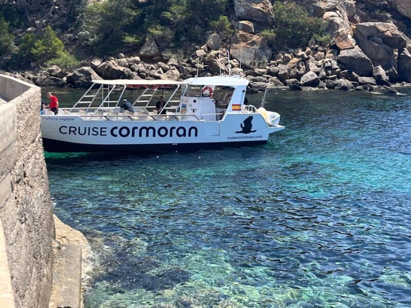 Santa Ponta/Peguera: Dragonera Island Cruise with Swim Stop - Final Thoughts on the Dragonera Island Cruise