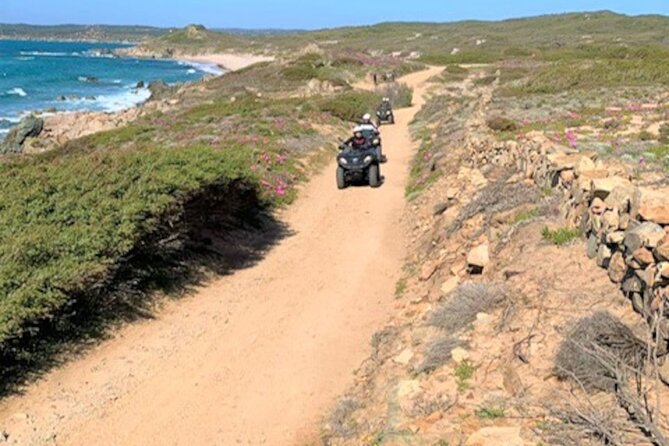 Santa Teresa di Gallura Quad Tour - The Guided Experience and Safety Measures