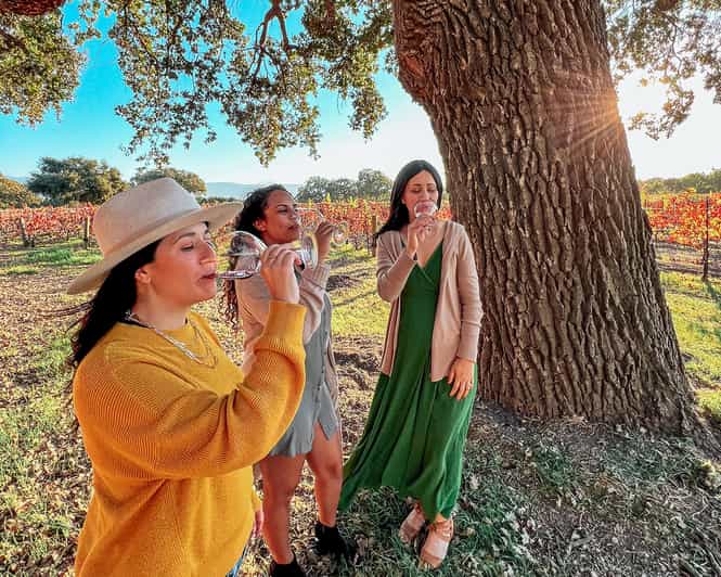 Santa Ynez: Private Wine Tour - Santa Ynez: Private Wine Tour - A Taste of California’s Best Wineries