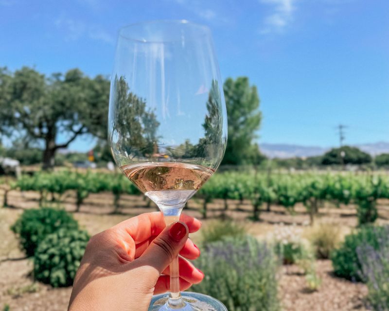 Santa Ynez: Wine Country Tour - Final Thoughts on the Santa Ynez Wine Country Tour