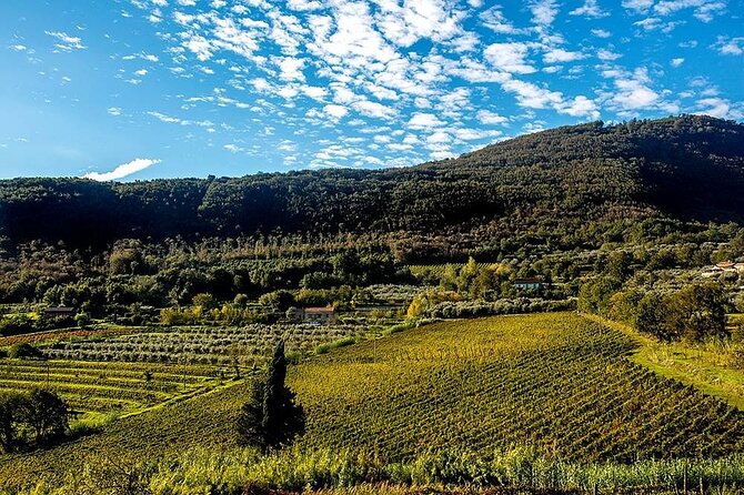 Sant'Agata de' Goti wine tasting and cooking class experience - Key Points