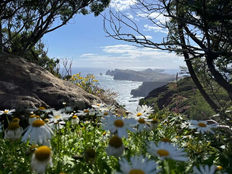 Santana: 4x4 Full-Day Tour to Northeast of Madeira Island - Key Points