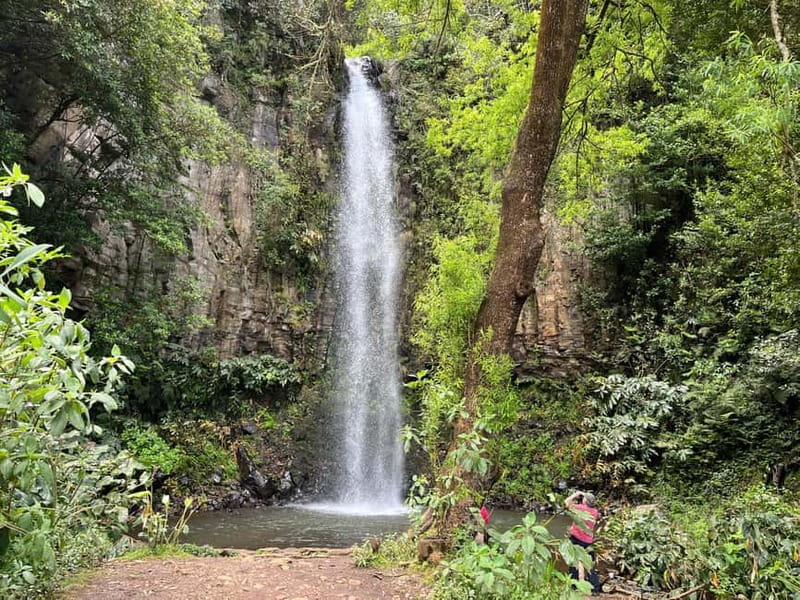 Santana: 4x4 Full-Day Tour to Northeast of Madeira Island - Practical Details and What to Expect