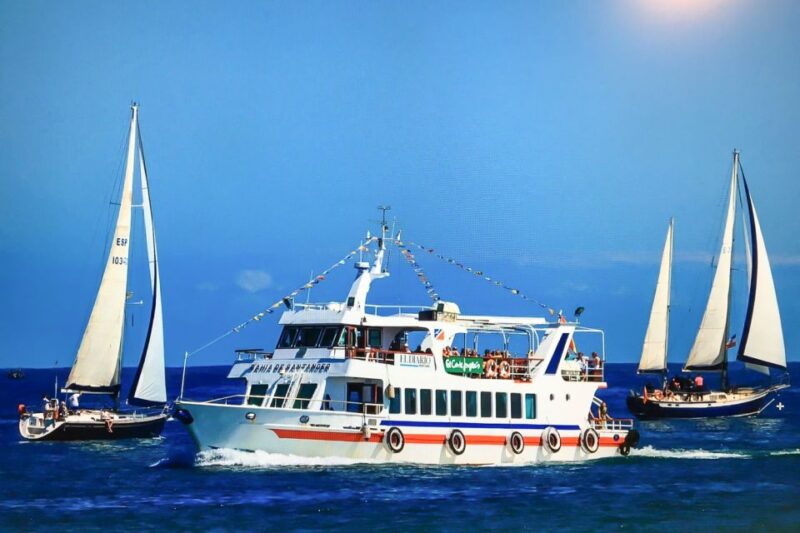 Santander: 1-Hour City Cruise Around the Bay - Santander Bay in a Nutshell: The Experience