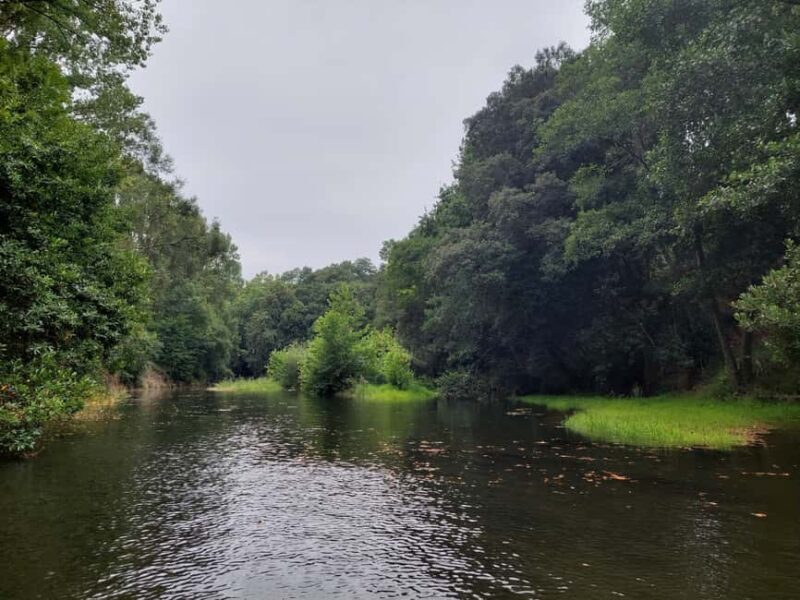 Santander: Guided boat tours of Santander Bay - Santander Guided Boat Tours of Santander Bay: An Authentic Nautical Experience