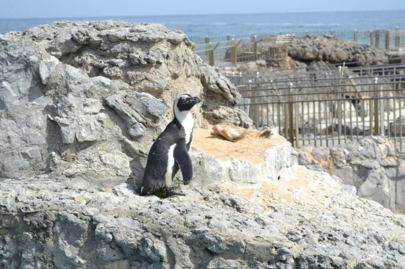 Santander Mysteries and Legends Tour - Concluding at the Town Hall Square