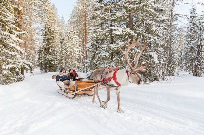 Santa's Reindeer & Husky Safari + Santa's Pets + Aurora Hunt! - Activity Durations and Schedule