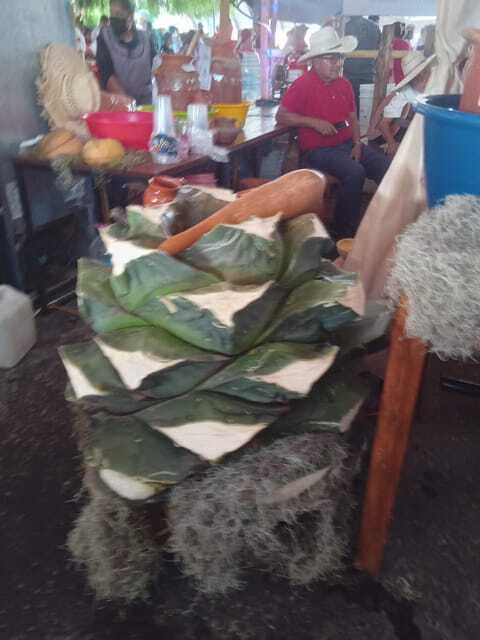 Santiago de Anaya, Hidalgo: Food tour. Experience among stoves. - Food Collection and Local Ingredients in Santiago de Anaya