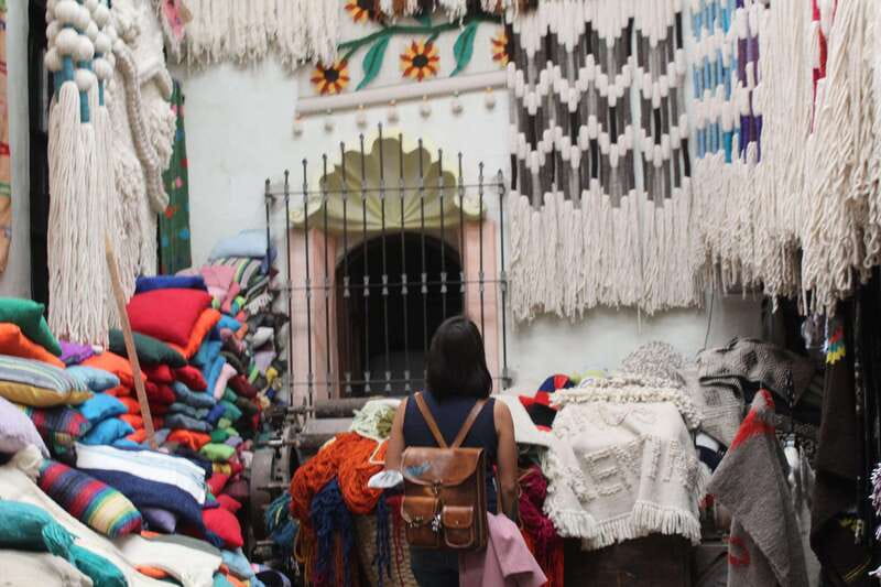 Santiago de Querétaro: Pueblos Mágicos Cheese and Wine Route - Logistics and Group Dynamics