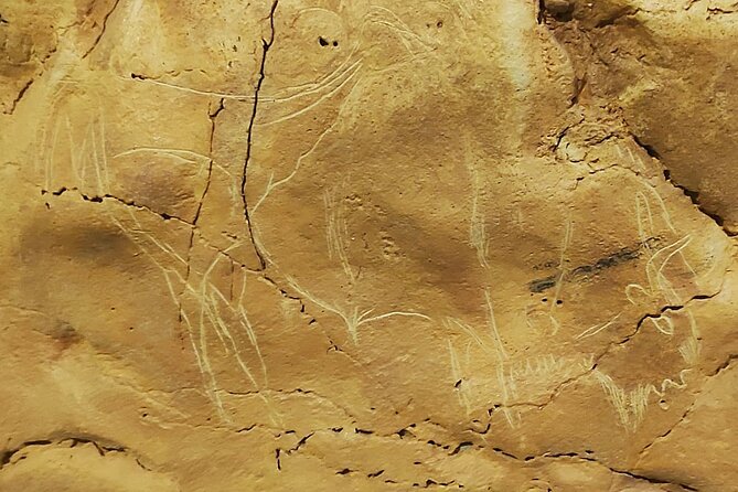 Santillana del Mar & Altamira Museum with tickets- small groups - The Altamira Museum and Neo-Cave Experience