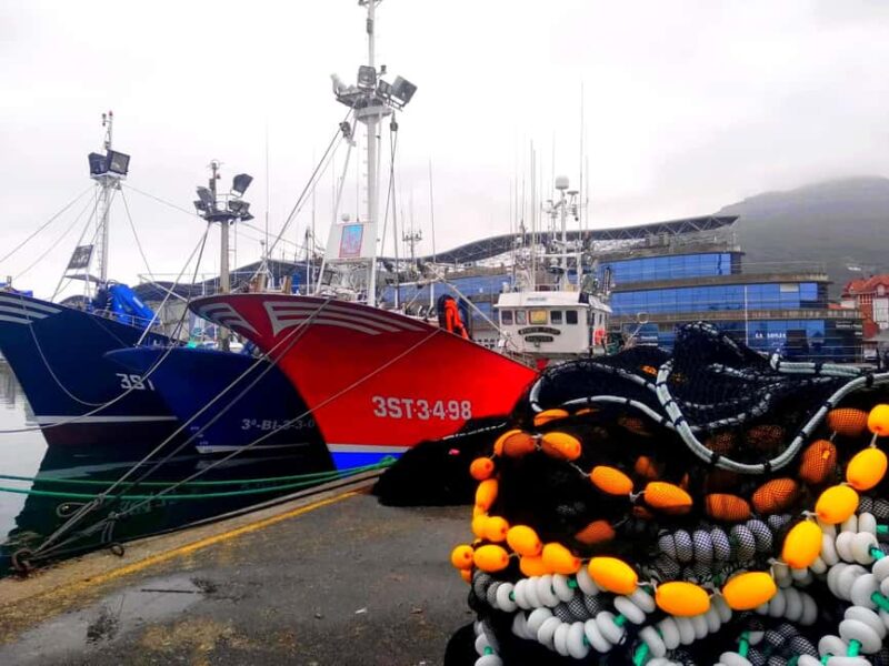 Santoña: Anchovy Art Gallery with Fishing Port and Market - Tasting the Region’s Signature Flavor