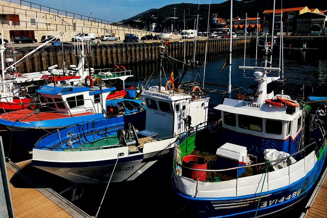 Santoña: Anchovy Factory & Boat Trip with tickets-small groups - Logistics and Group Size Benefits