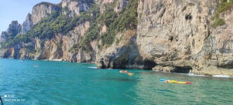 Santoña: Anchovy Factory Tour and Boat Trip - The Scenic Boat Trip to "El Caballo" Lighthouse