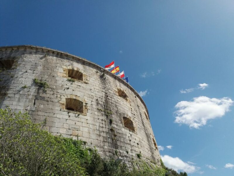 Santoña: Anchovy Factory Tour and Boat Trip - Suitable For Who?