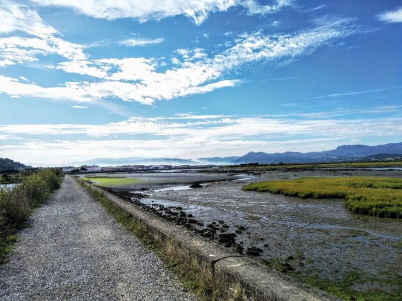 Santona: Canning Factory and the Marshes Tour with Tasting - Key Points