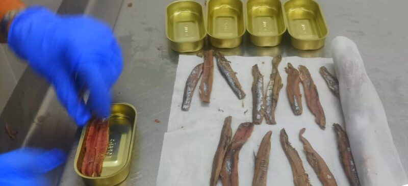 Santona: Canning Factory and the Marshes Tour with Tasting - What Makes This Tour Stand Out in Santoña