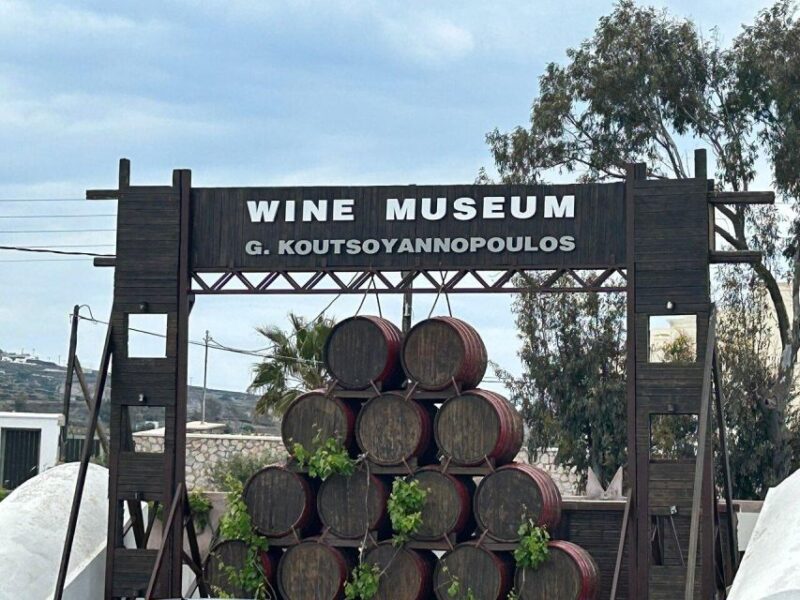 Santorini: 3 Wineries Visit with 11/12 Wines Premium Tasting - Scenic Views and Vineyard Walks