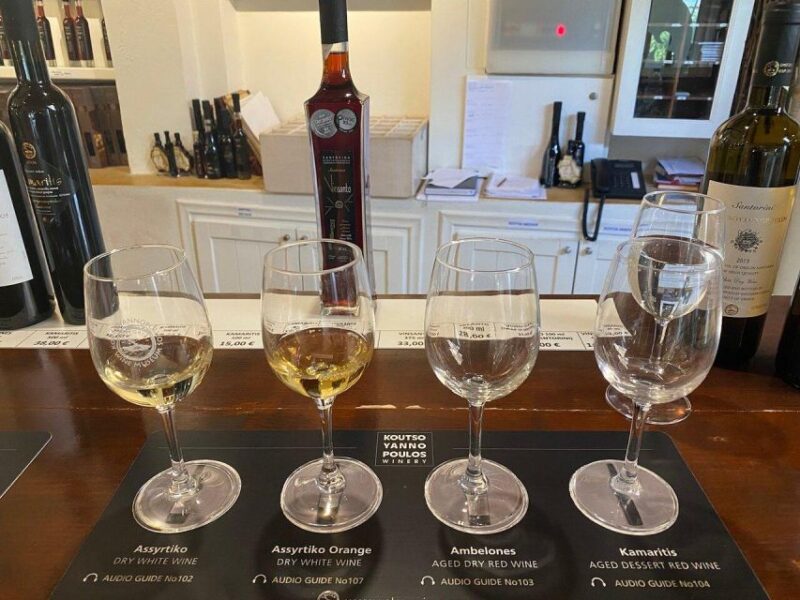 Santorini: 3 Wineries Visit with 11/12 Wines Premium Tasting - Expert-Led Wine Presentations and Local Snacks