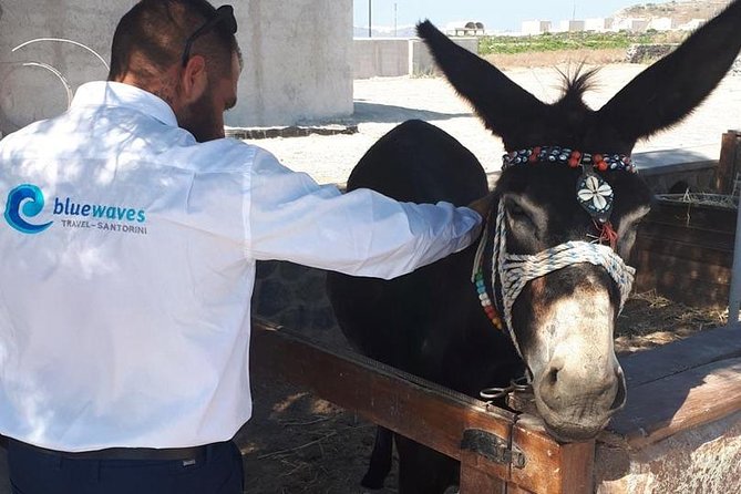 Santorini 4 hours Private Tour : Visit all the hotspots - Visiting Moni Profiti Ilia for Panoramic Views and Calm Energy