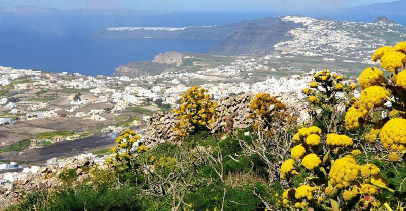 Santorini: 4hr Private Accessible Panoramic Views Tour - Key Points