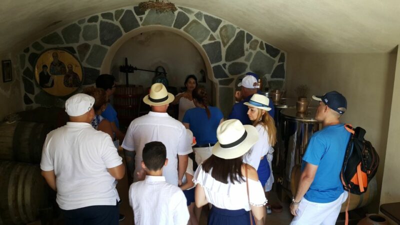 Santorini: 4hr Private Accessible Panoramic Views Tour - Review Highlights and Guide Quality