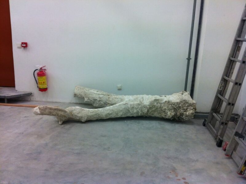 Santorini: Akrotiri Private Guided Tour with Hotel Pick-Up - Why Choose This Tour Over Others?