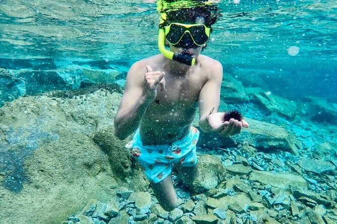 Santorini Caldera Day Traditional Cruise with Meal and Drinks - Ending at Amoudi Bay in Oia