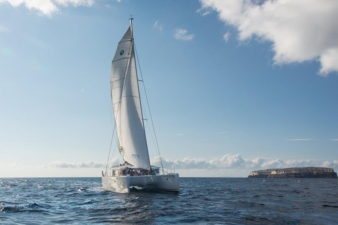 Santorini Caldera Sailing Tour with BBQ Lunch and Drinks - Practical Details and Tips for Participants